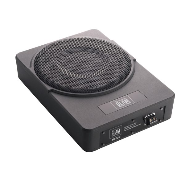 MSP 25