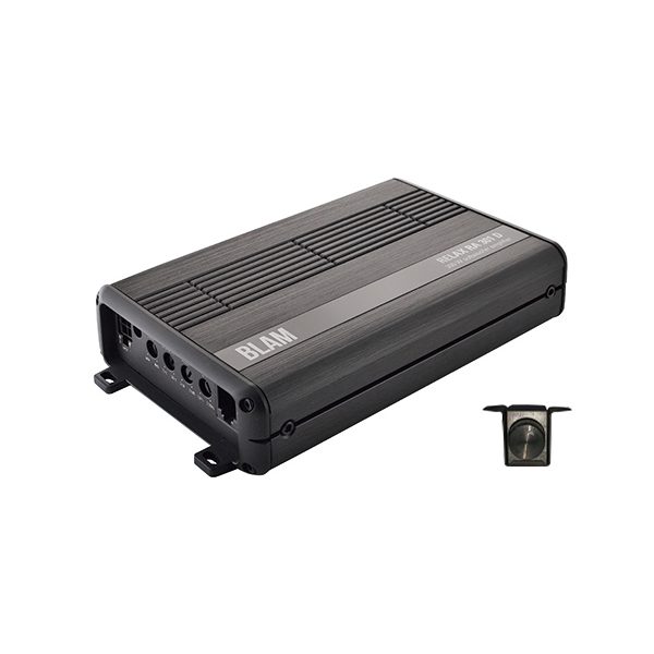 RA 301 D